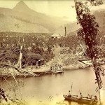 clear-cut-forest-near-mount-adams-peak-sri-pada-for-tea-plantation