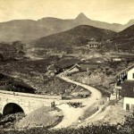 sri-pada-mountainand-brownlos-tea-plantations_early_1900