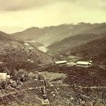 tea-plantation_-ceylon-late-1800_s