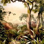 tropical-ceylon