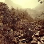ramboda-pass_-ceylon_-late-1800_s